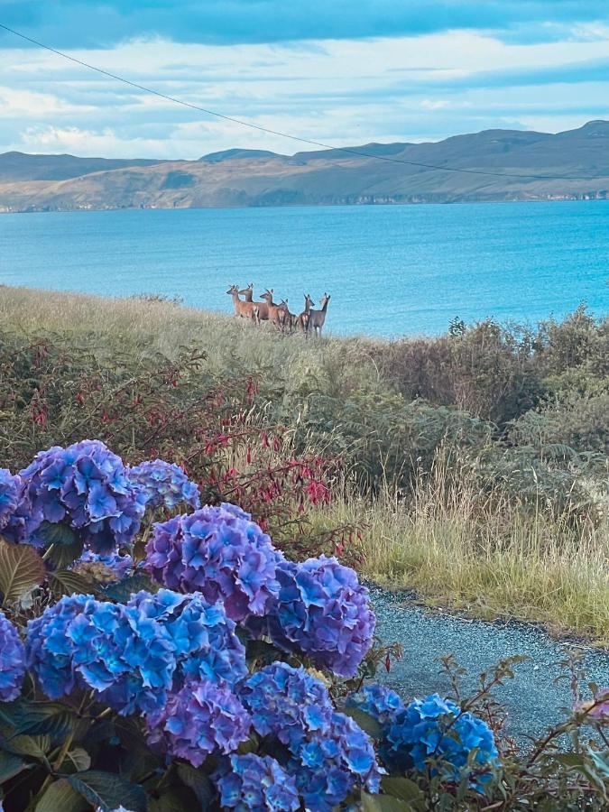 The Rowanberry Suite At Rowan Cottage Elgol Εξωτερικό φωτογραφία